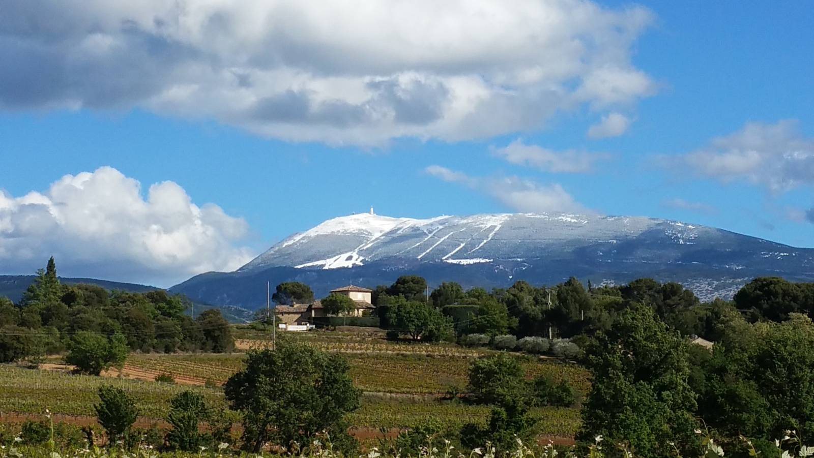 De Mont Ventoux met sneeuw